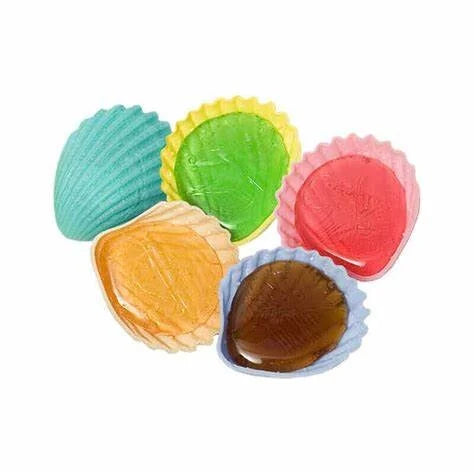 Lot de Coquillages Colorés Déco Plage X5